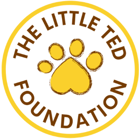 The Little Ted Foundation