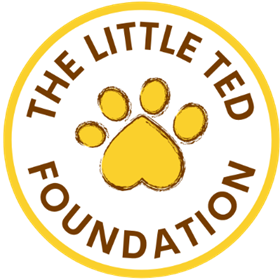 The Little Ted Foundation