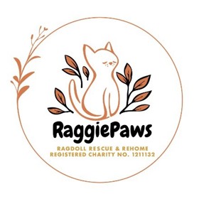 RaggiePaws Ragdoll Rescue & Rehome
